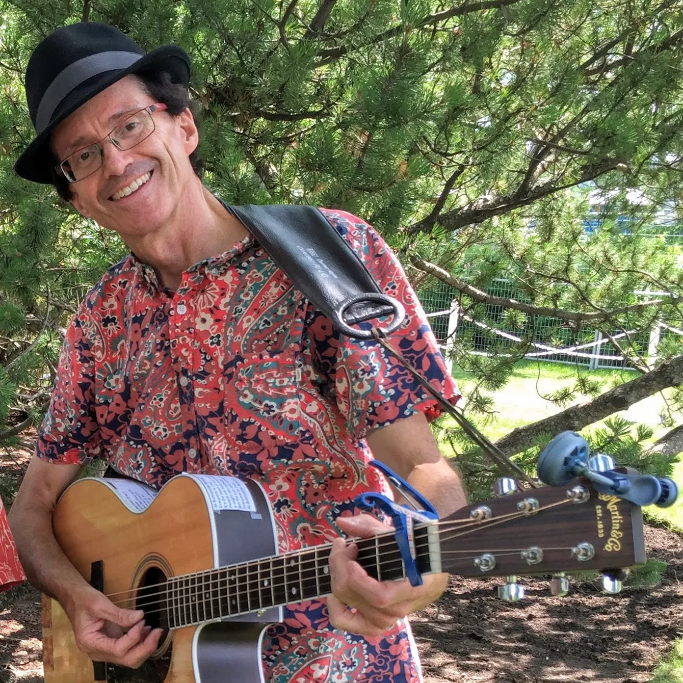 Puffinweb Green Room